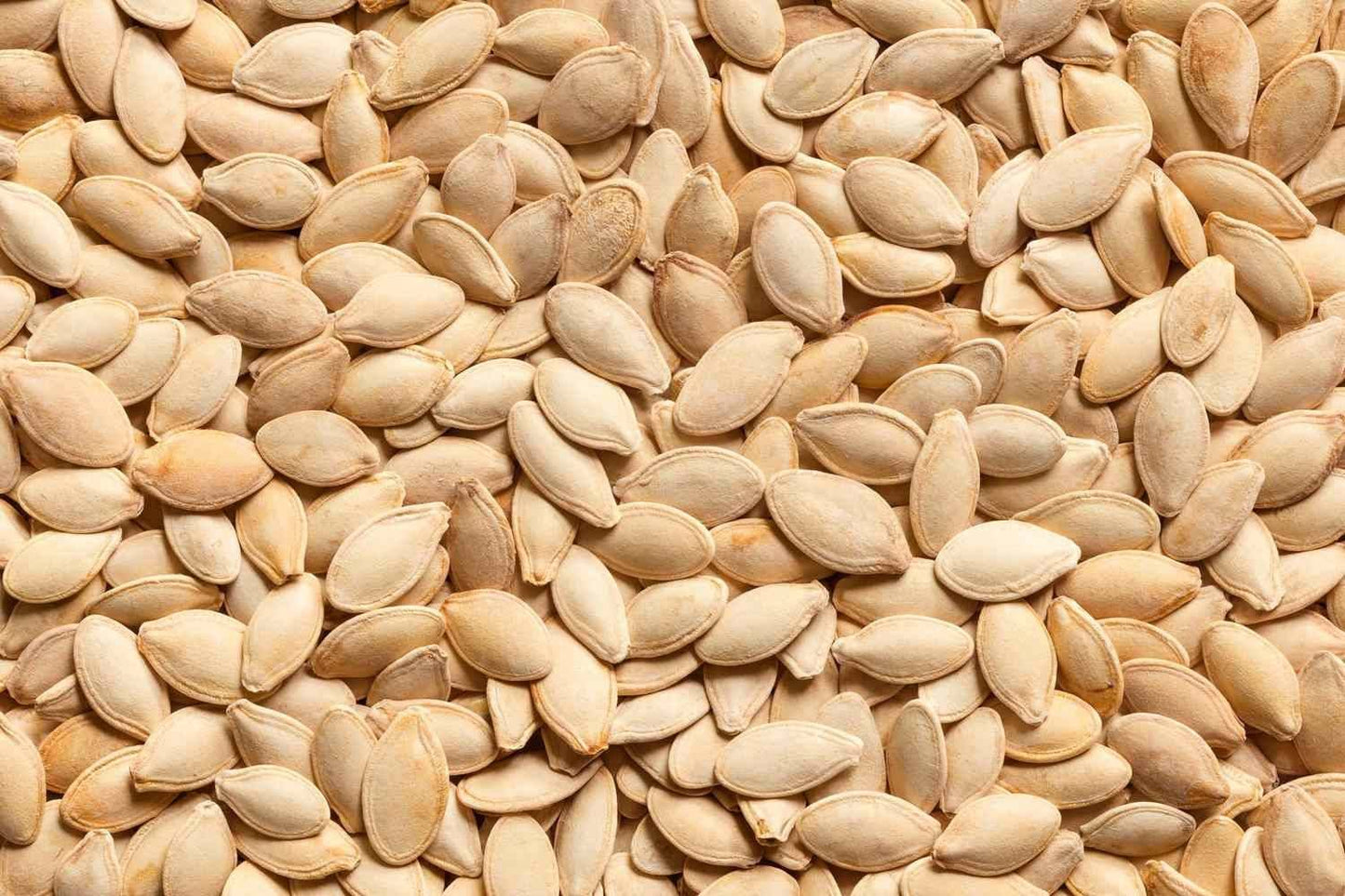 Pumpkin seeds