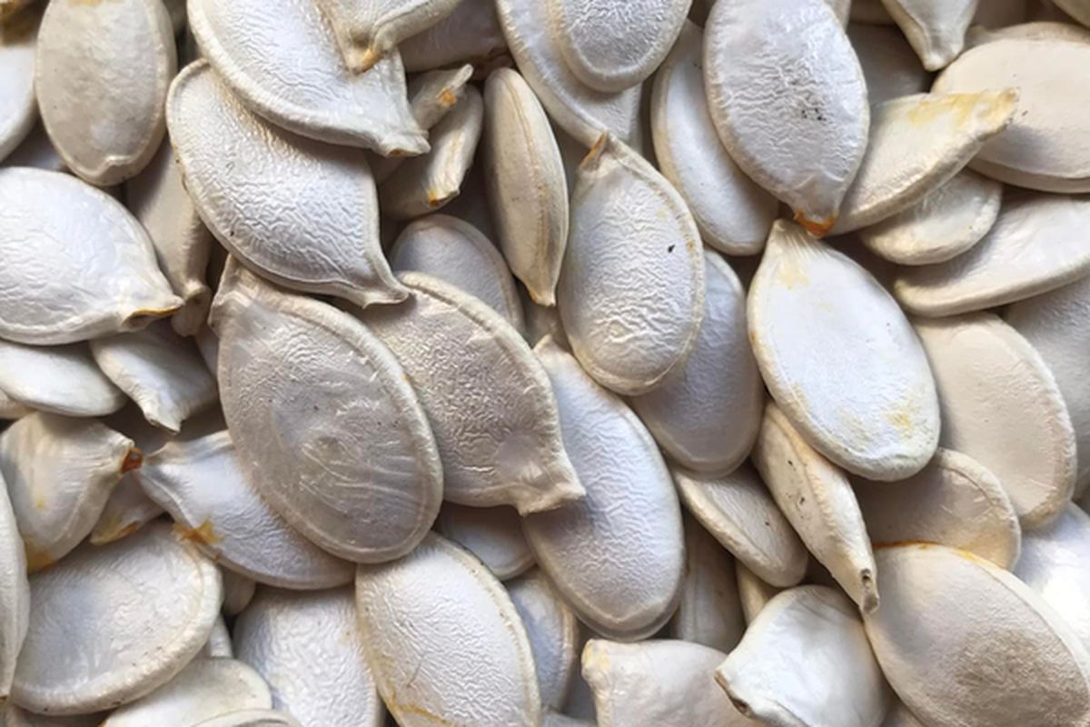 Pumpkin seeds