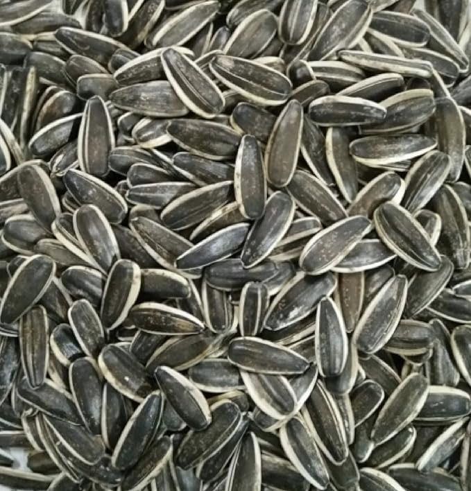 Sunflower Seeds