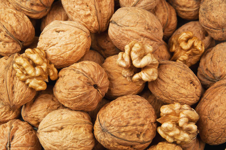 Premium Whole Walnuts in Shell (Raw Nuts)