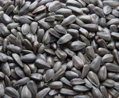 Sunflower Seeds