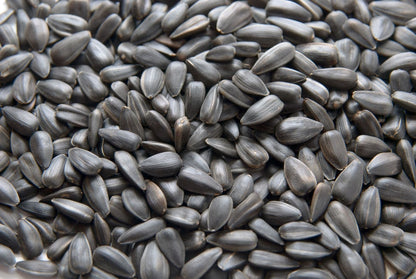 Sunflower Seeds