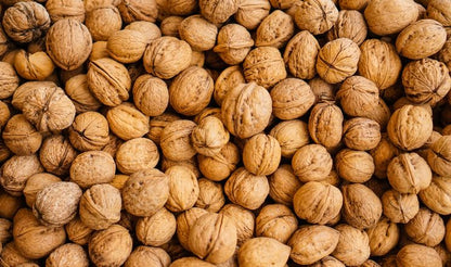 Premium Whole Walnuts in Shell (Raw Nuts)