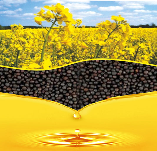 Rapeseed oil