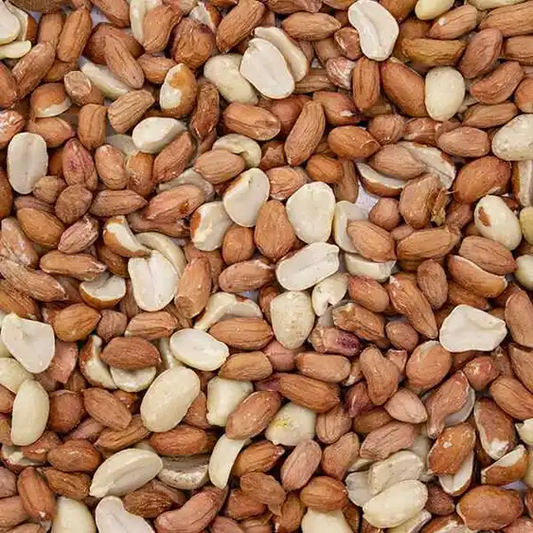 Bird Peanuts